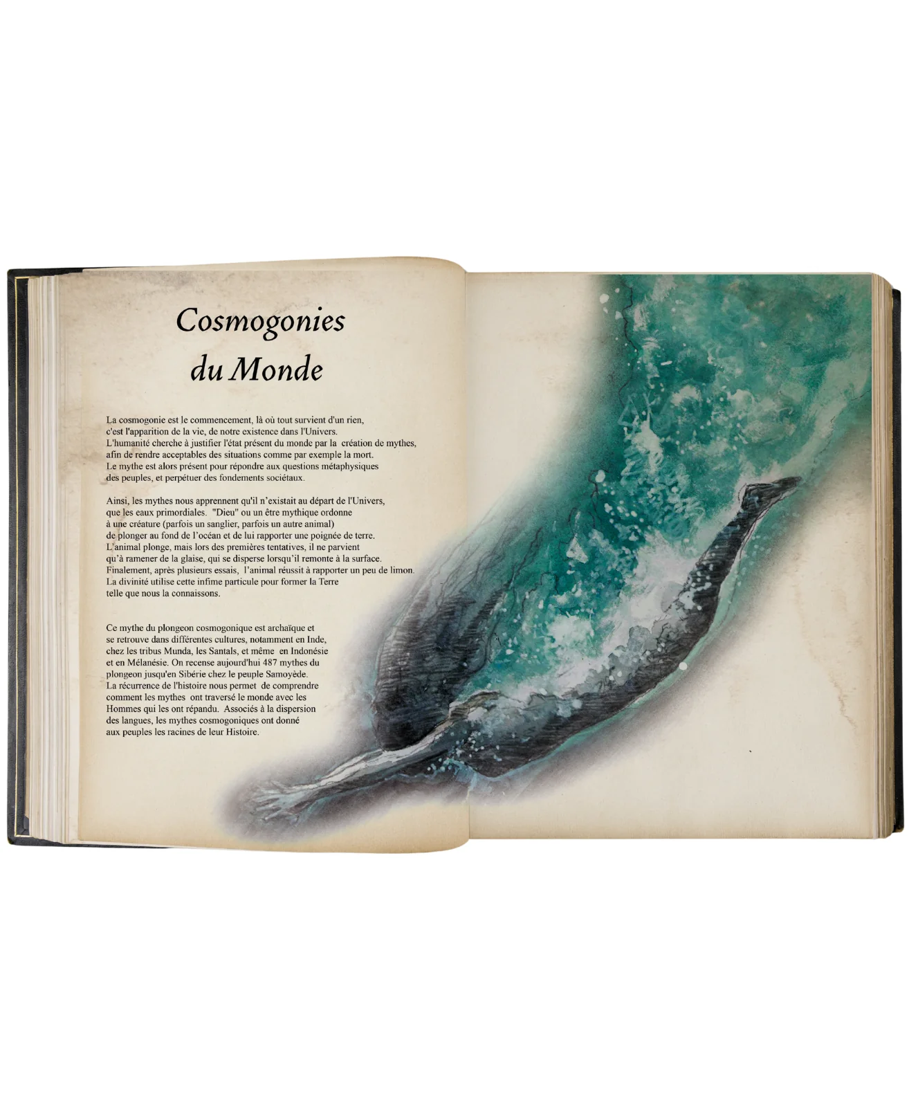 Image du produit 6